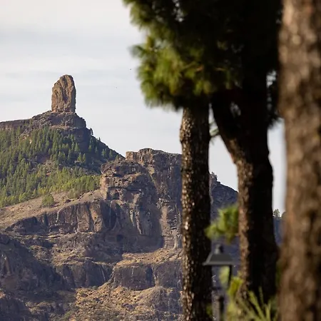 Casa Isabela With Roque Nublo View Apartment